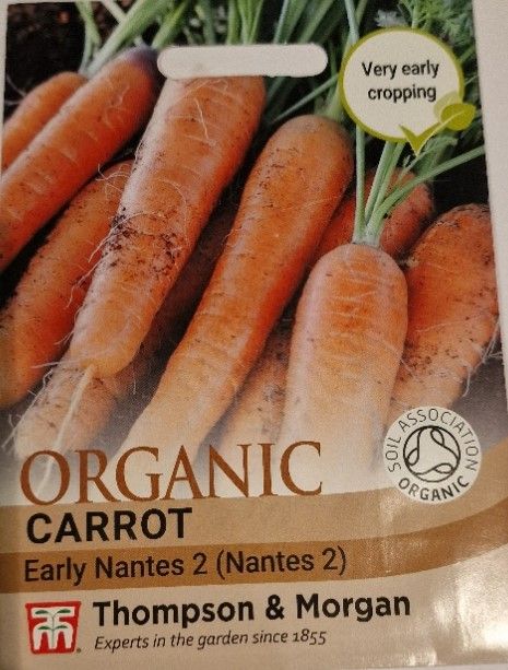 ORGANIC - Carrot &#39;&#39;Early Nantes 2&#39;&#39;