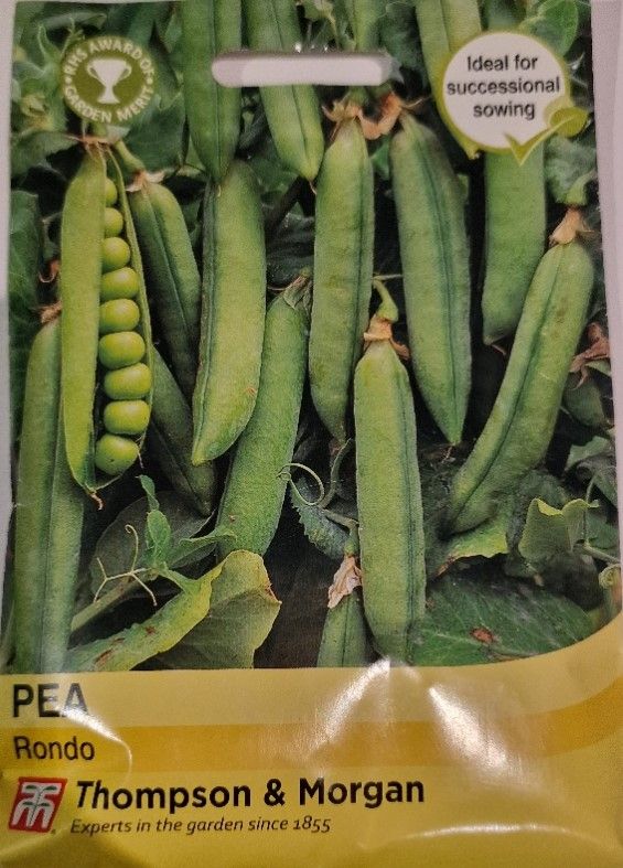 Pea -&#39;&#39;Rondo&#39;&#39;