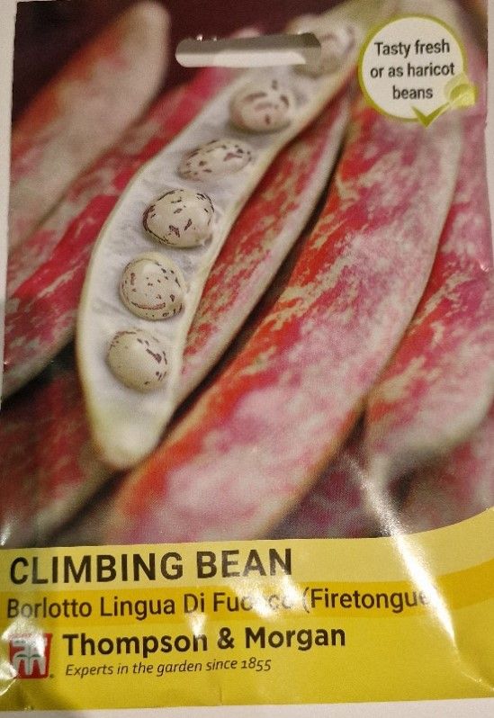 Climbing Bean -Borlotto Lingua Di Fuocco (Firetongue)