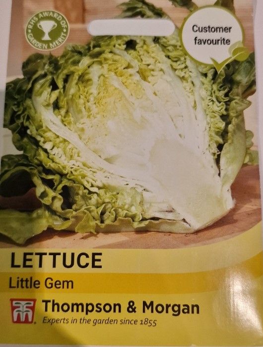 Lettuce - Little Gem