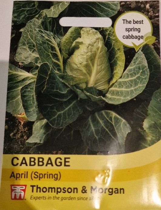 Cabbage- April (Spring)