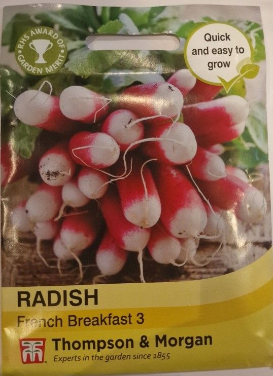 Radish - French Breakfast 3