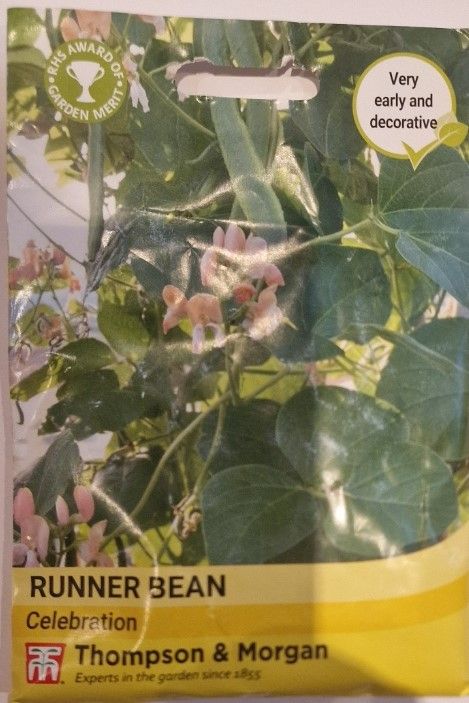 Runner Bean -Celebration