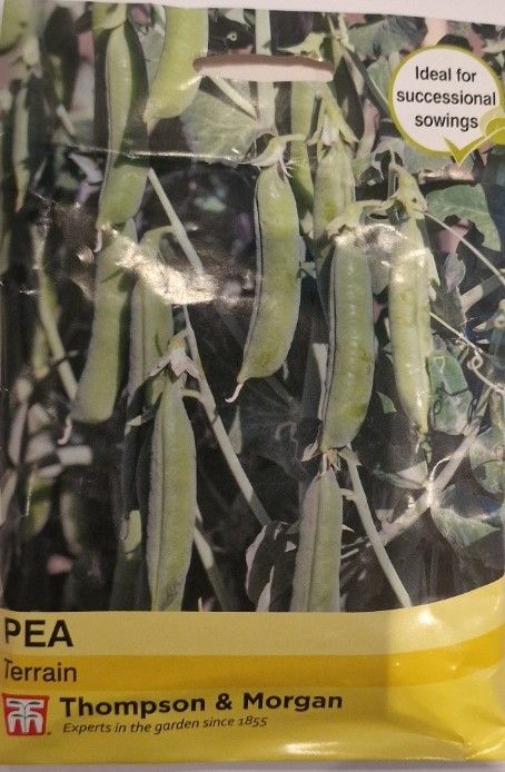 Pea- Terrain