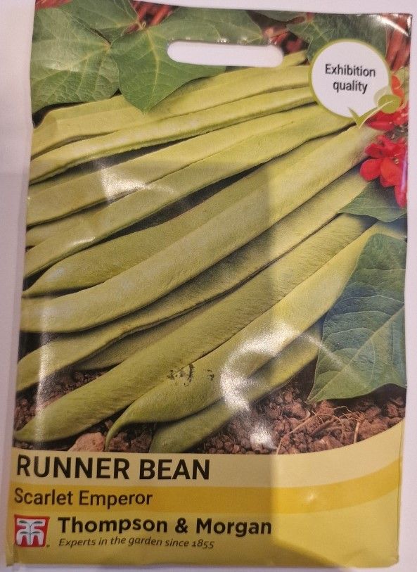 Runner Bean- Scarlet Emperor