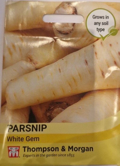 Parsnip- White Gem