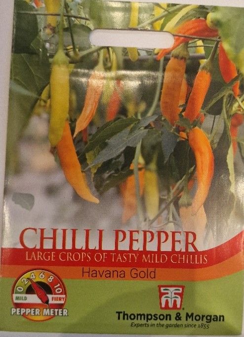 Chilli Pepper- Havana Gold