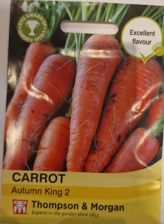 Carrot - Autumn King 2