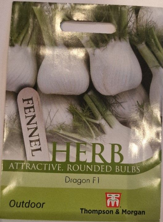 Herb- Fennel Dragon F1