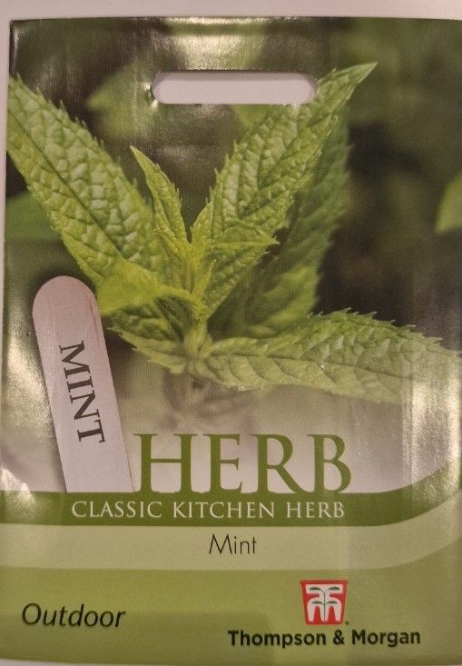 Herb - Mint