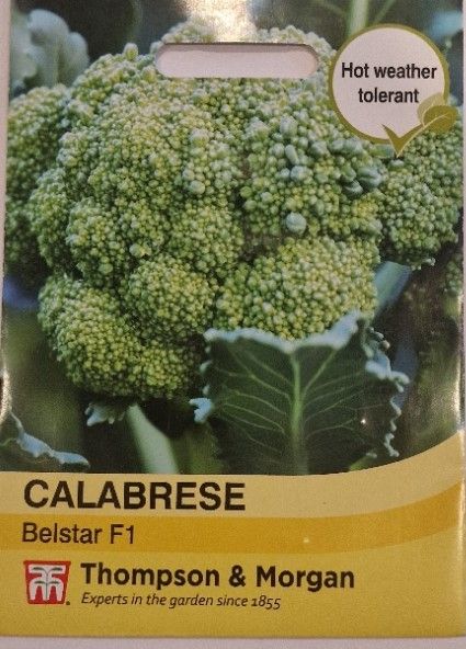 Calabrese - belstar F1