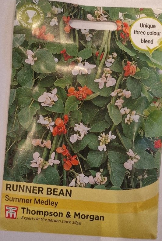 Runner Bean - Summer Medley