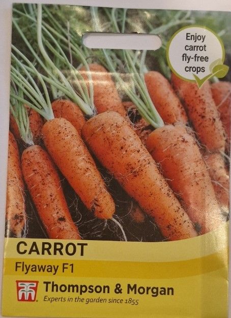 Carrot - Flyaway F1