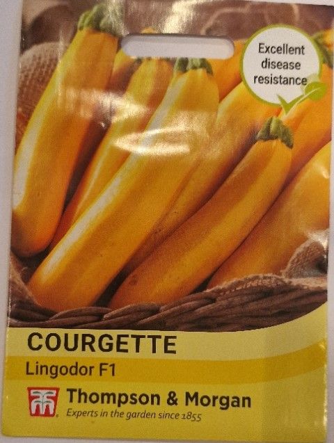 Courgette- Lingodor F1