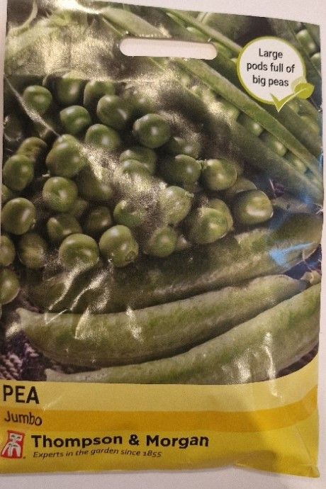 Pea- Jumbo