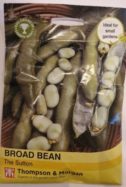 Broad Bean - The Sutton