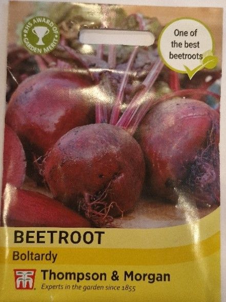 Beetroot - Boltardy