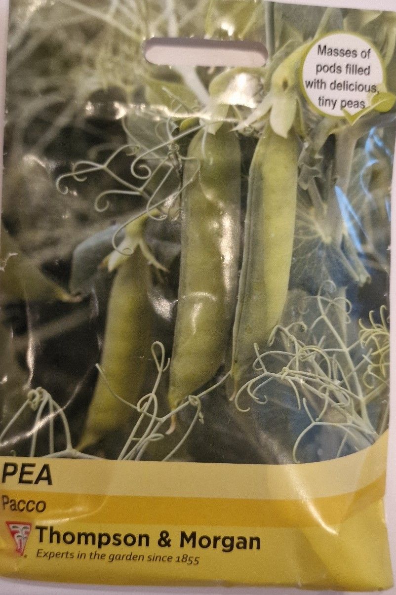 Pea - Pacco