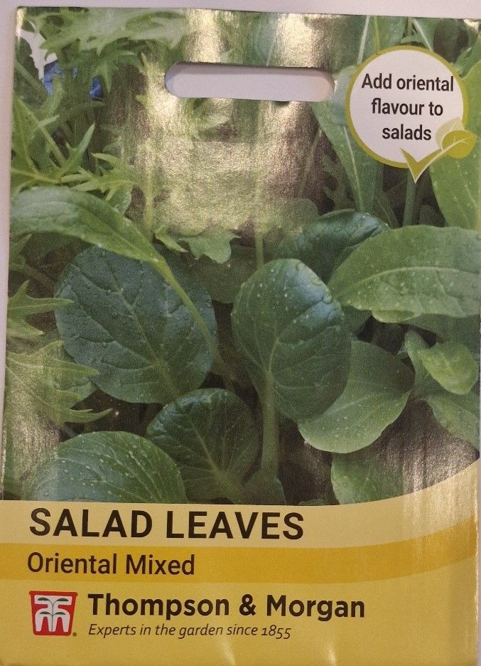 Salad Leaves- Oriental mixed