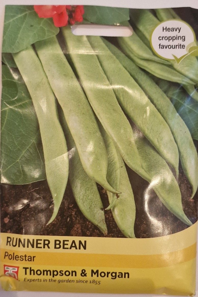 Runner Bean - Polestar