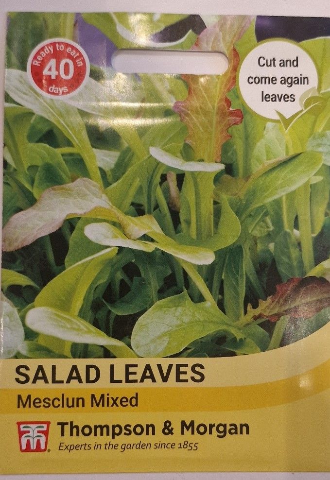 Salad Leaves - Mesclun mixed