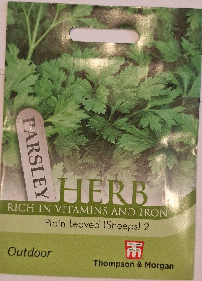 Herb - Parsley Plain Leaved (Sheeps) 2