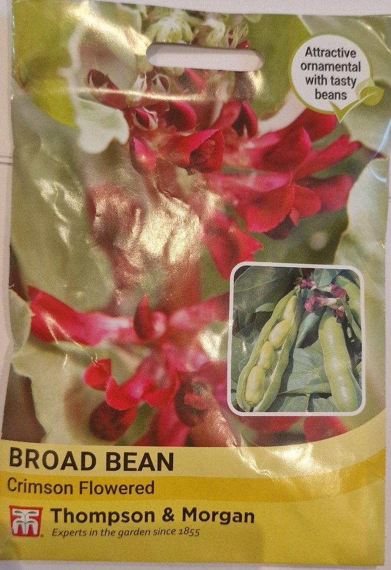 Broad Bean - Crimson Flowered