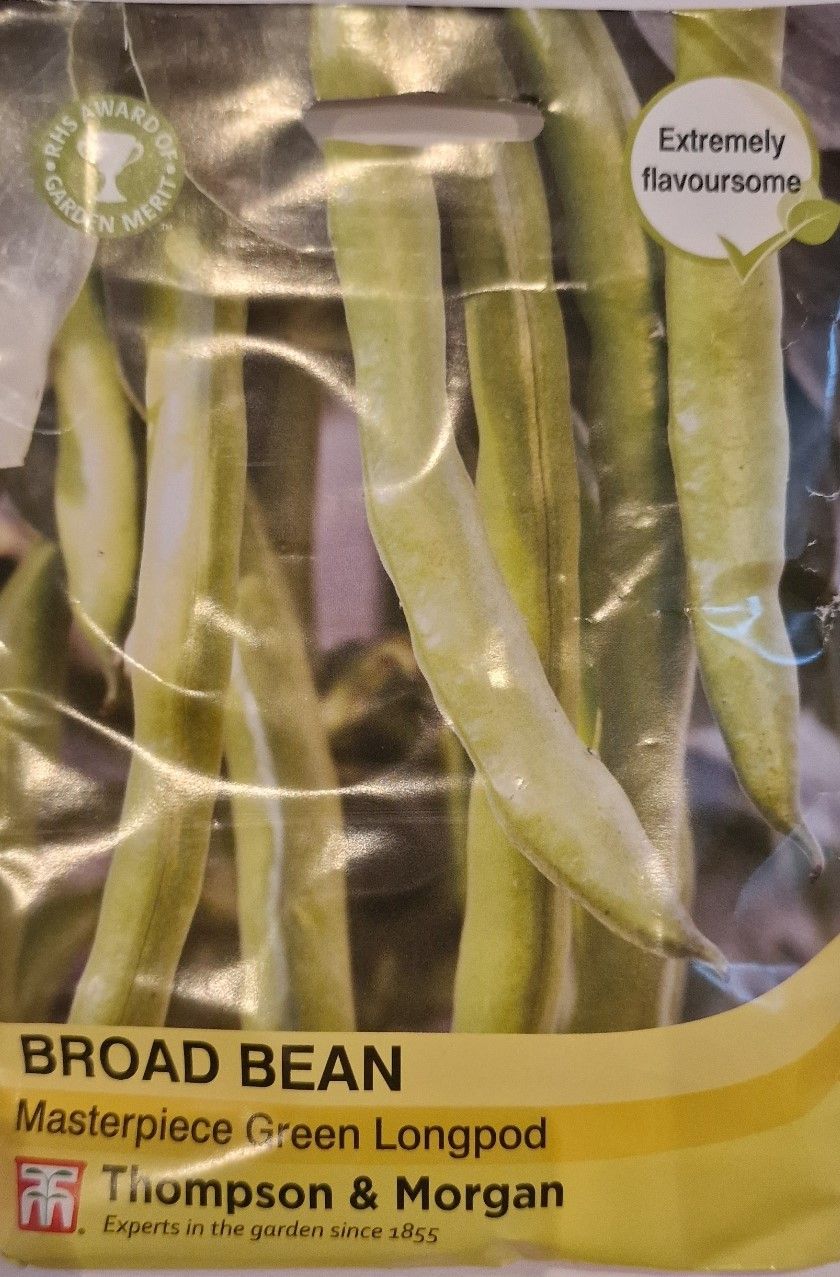 Broad Bean - Masterpiece Green Longpod