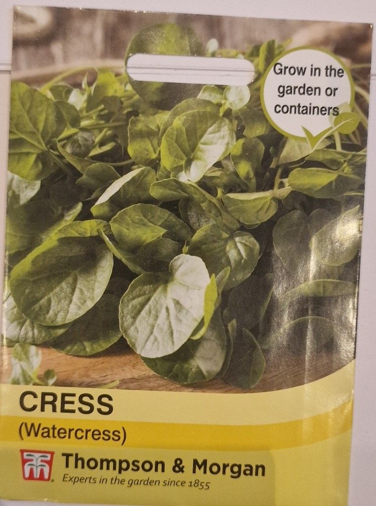 Cress (Watercress)