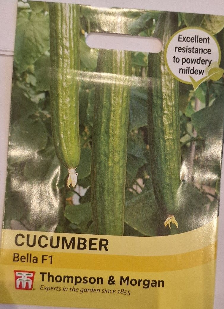 Cucumber - Bella F1
