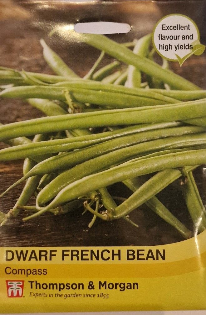 Dwarf French Bean -Compass