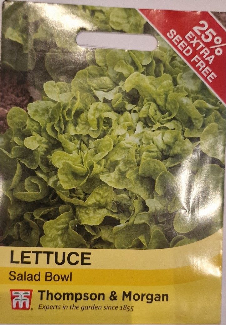 Lettuce -Salad Bowl