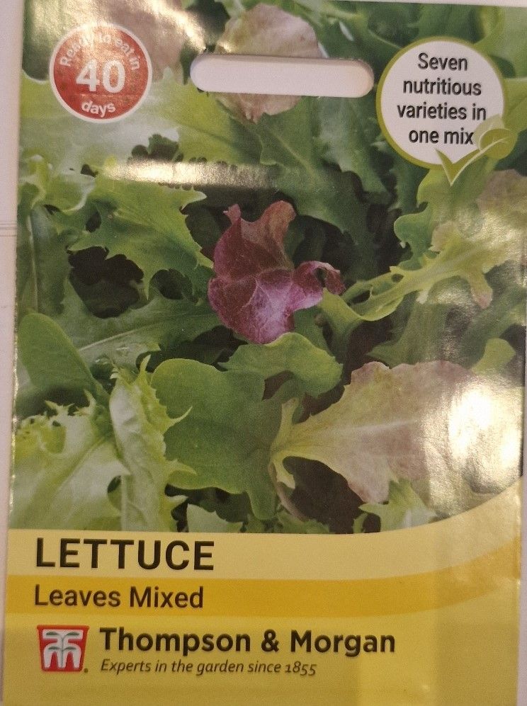 Lettuce - Leaves mixed