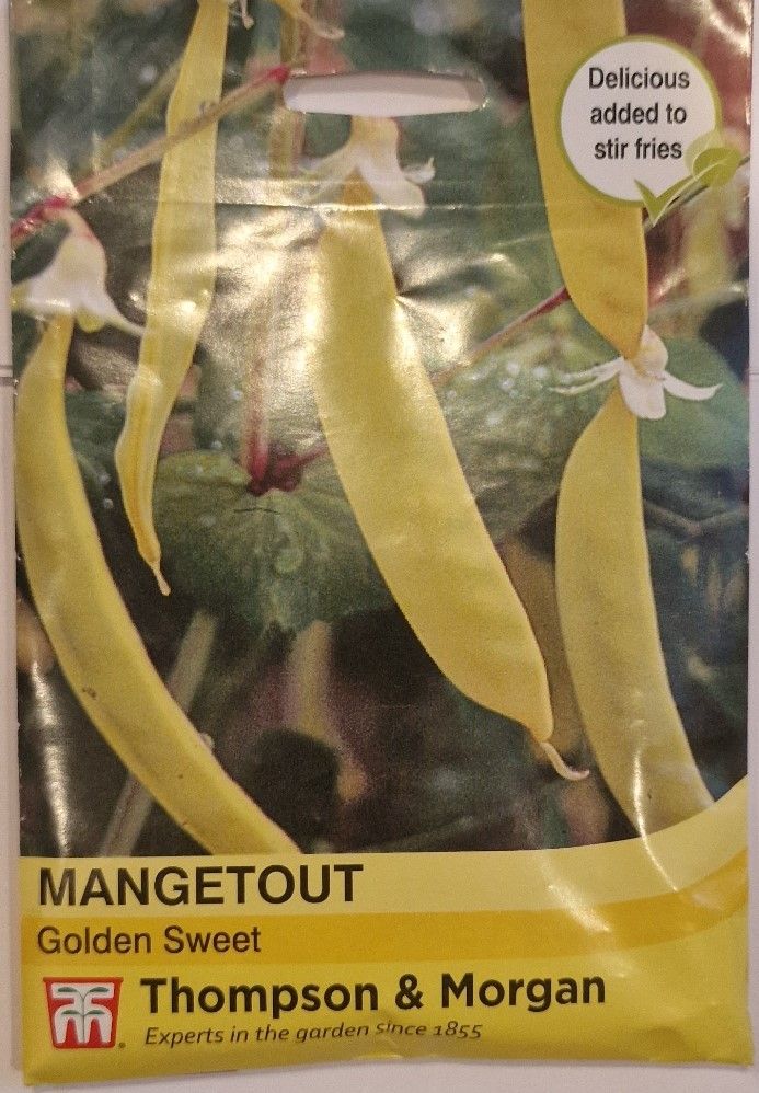 Mangetout - Golden Sweet