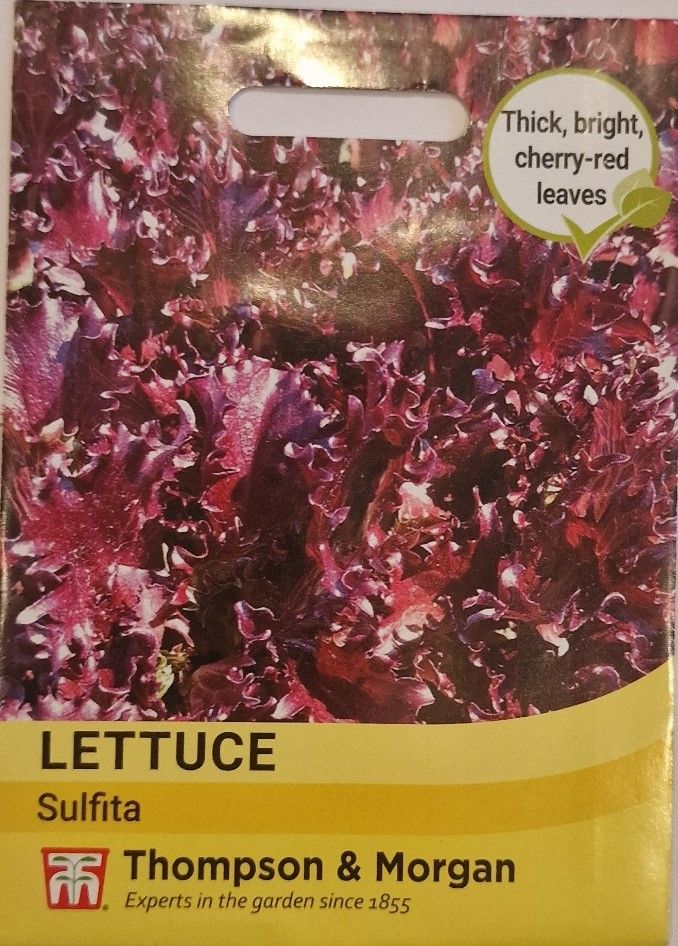Lettuce - Sulfita