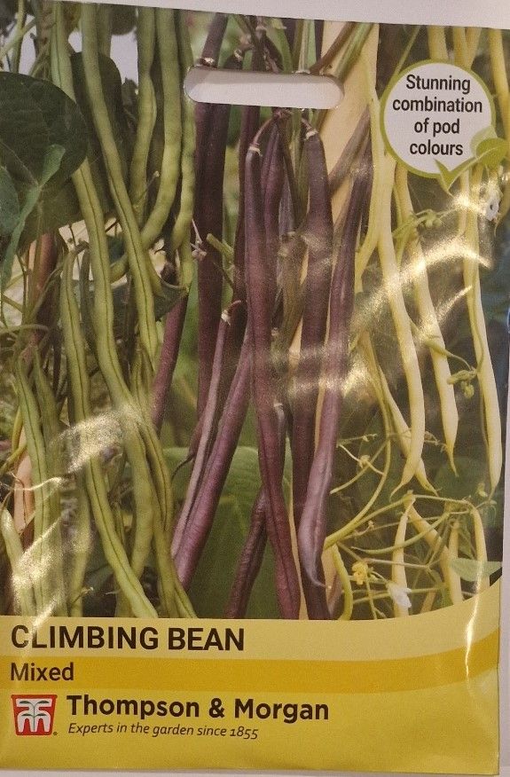 Climbing Bean mixed