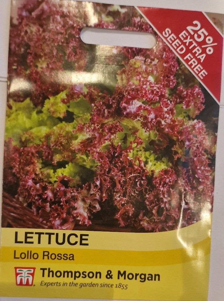 Lettuce Lollo Rossa