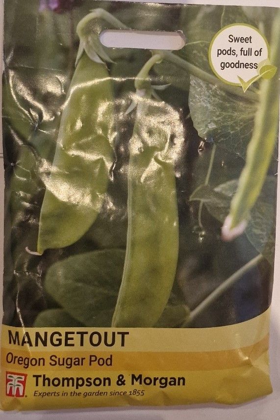 Mangetout-Oregon Sugar Pod