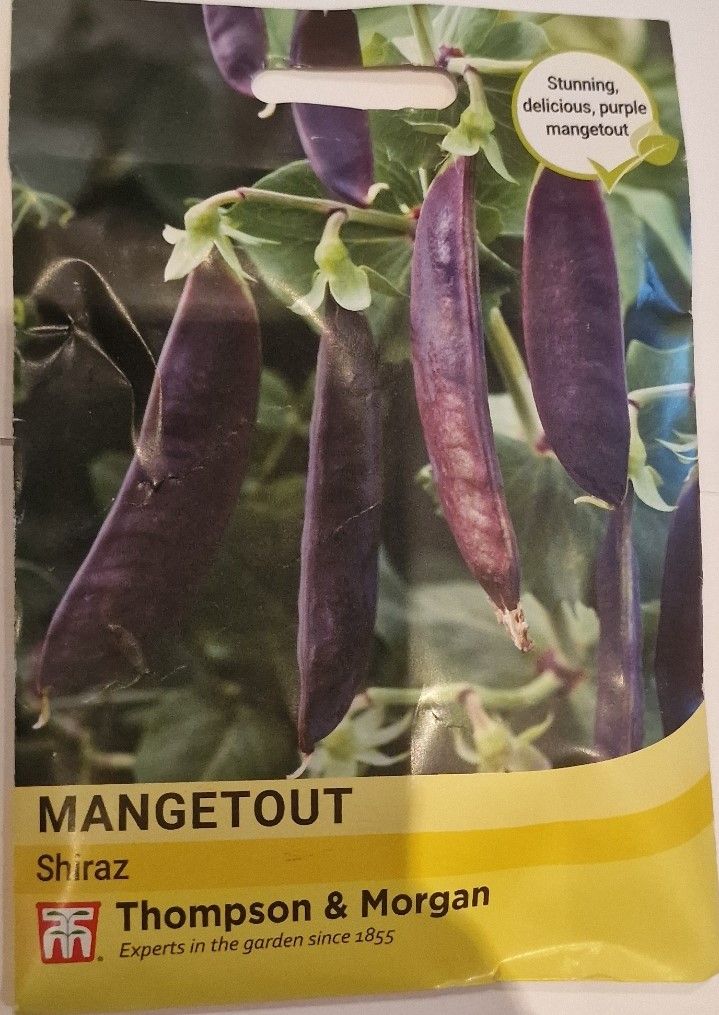 Mangetout - Shiraz
