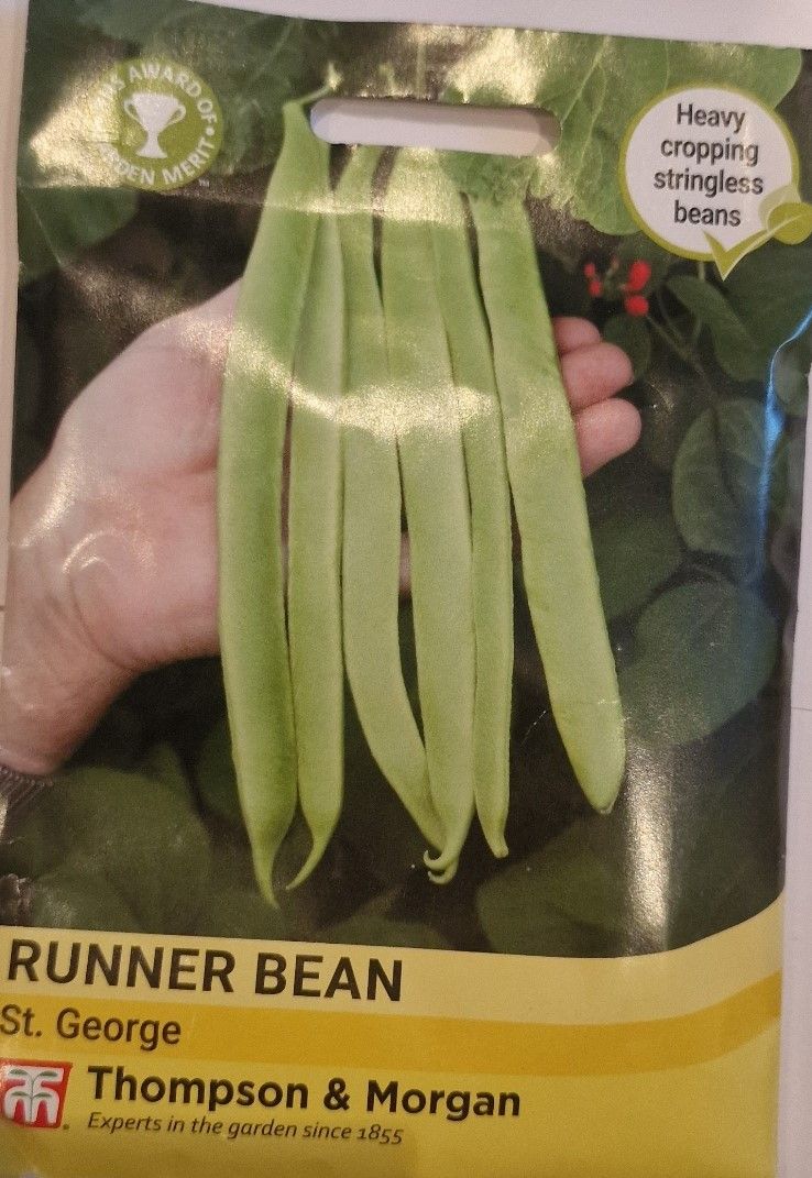 Runner Bean- St. George