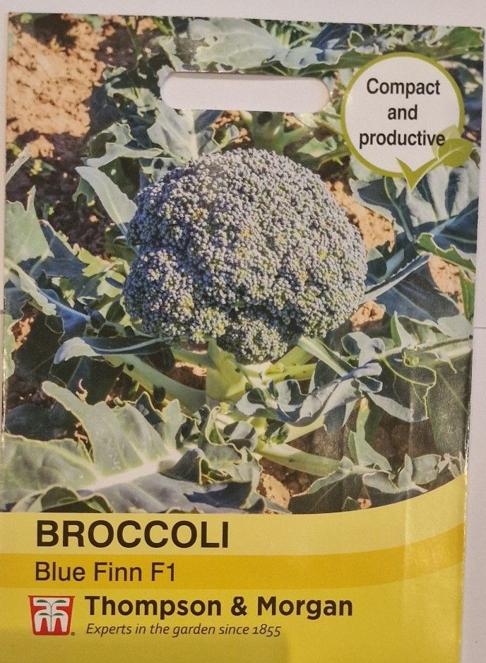 Broccoli- Blue Finn F1