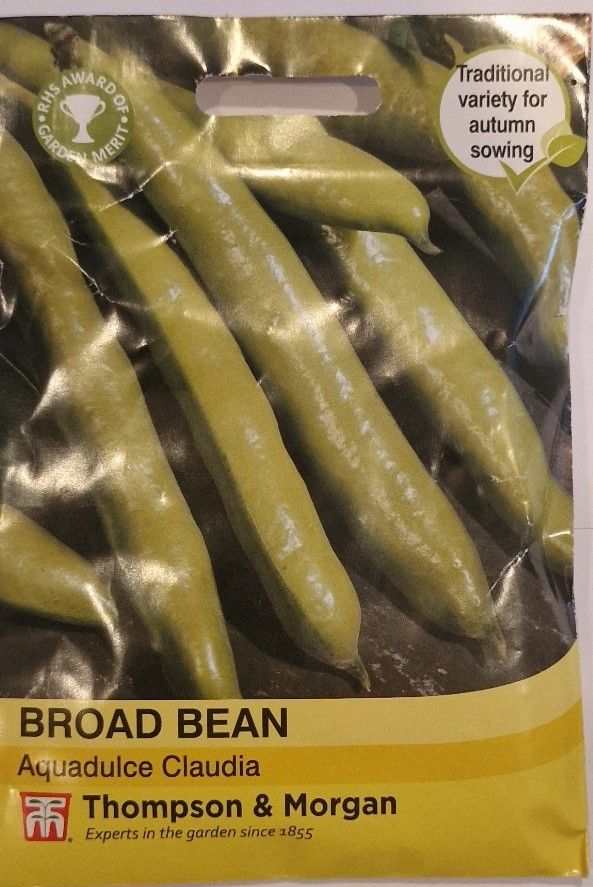 Broad Bean- Aquadulce Claudia