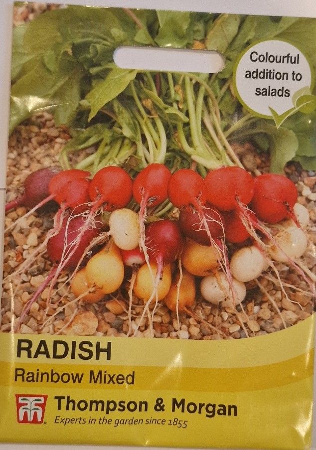 Radish - Rainbow mixed