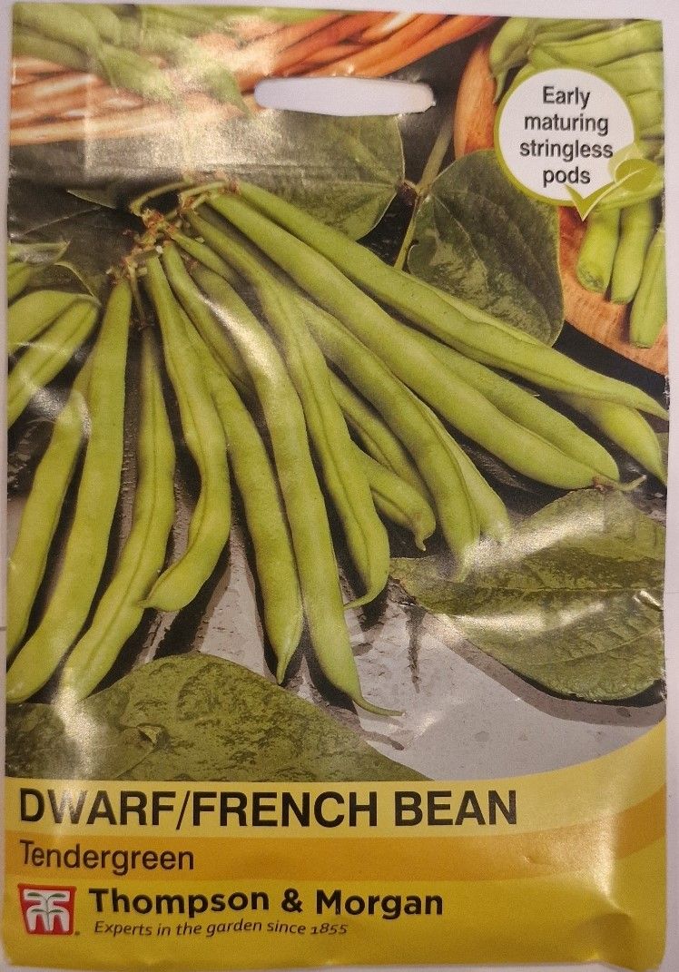 Dwarf/French Bean- Tendergreen