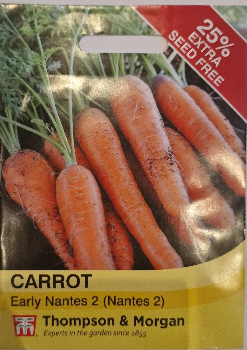 Carrot - Early Nantes (Nantes 2)