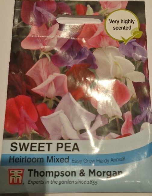 Sweet Pea Heirloom mixed