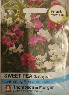 Sweet Pea (Lathyrus) Everlasting mix  Hardy Perennial