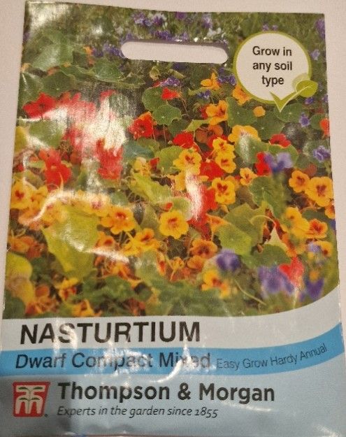 Nasturtium - Dwarf Compact mix