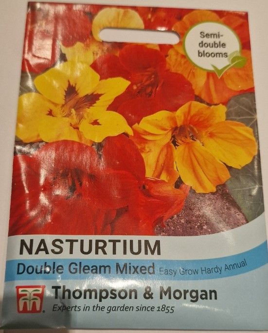 Nasturtium - Double Gleam mix