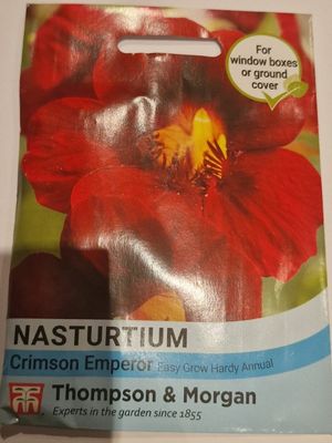 Nasturtium - Crimson Emperor